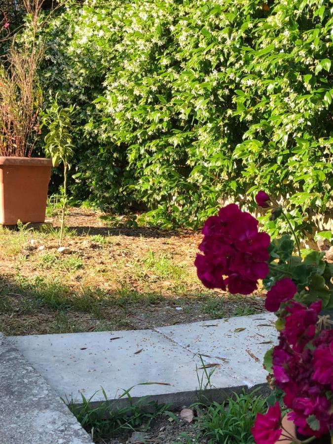 Country Flat Maria Lejlighed Evropouloi Eksteriør billede